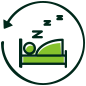 What happens in each sleep cycle? - icon